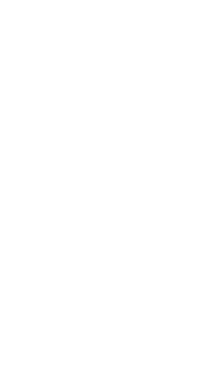 GessWho Capital logo